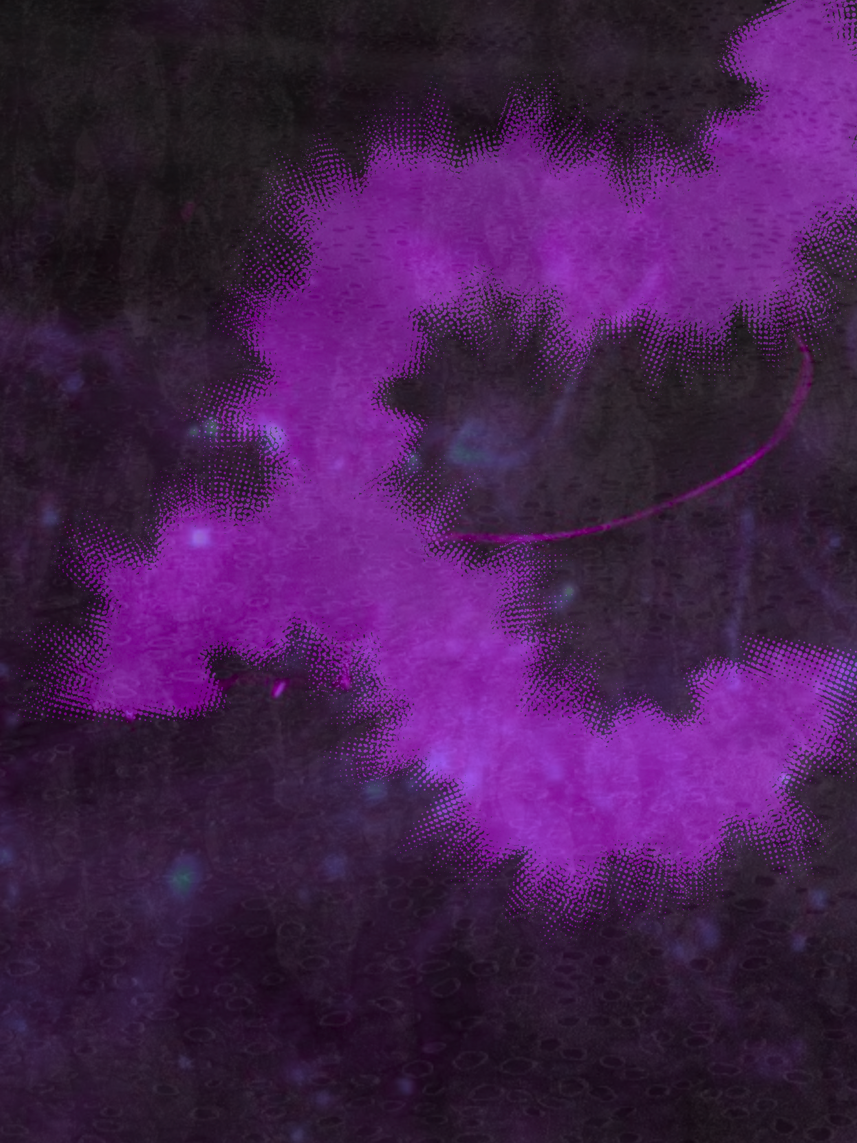 Second Image