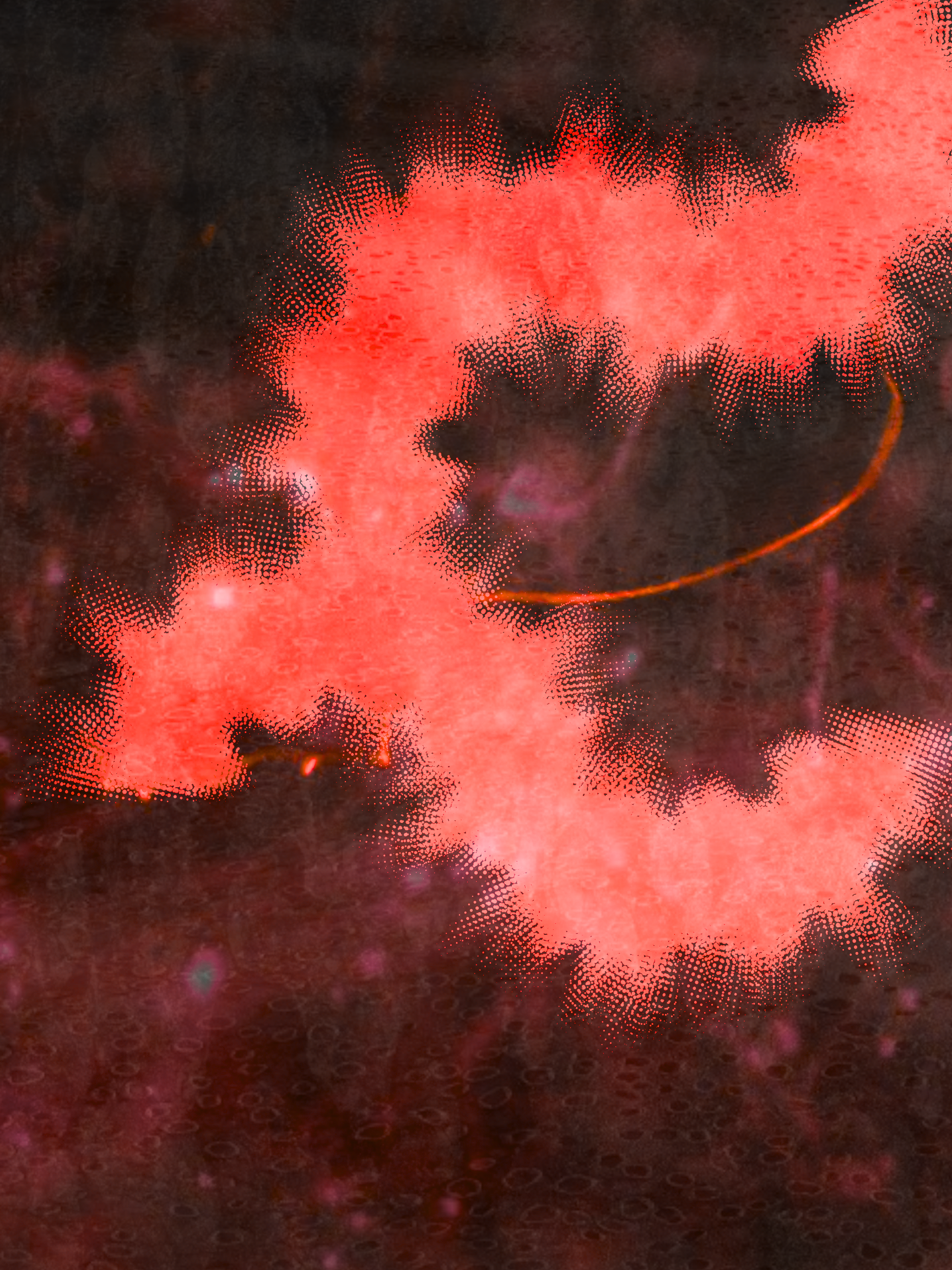 Third Image