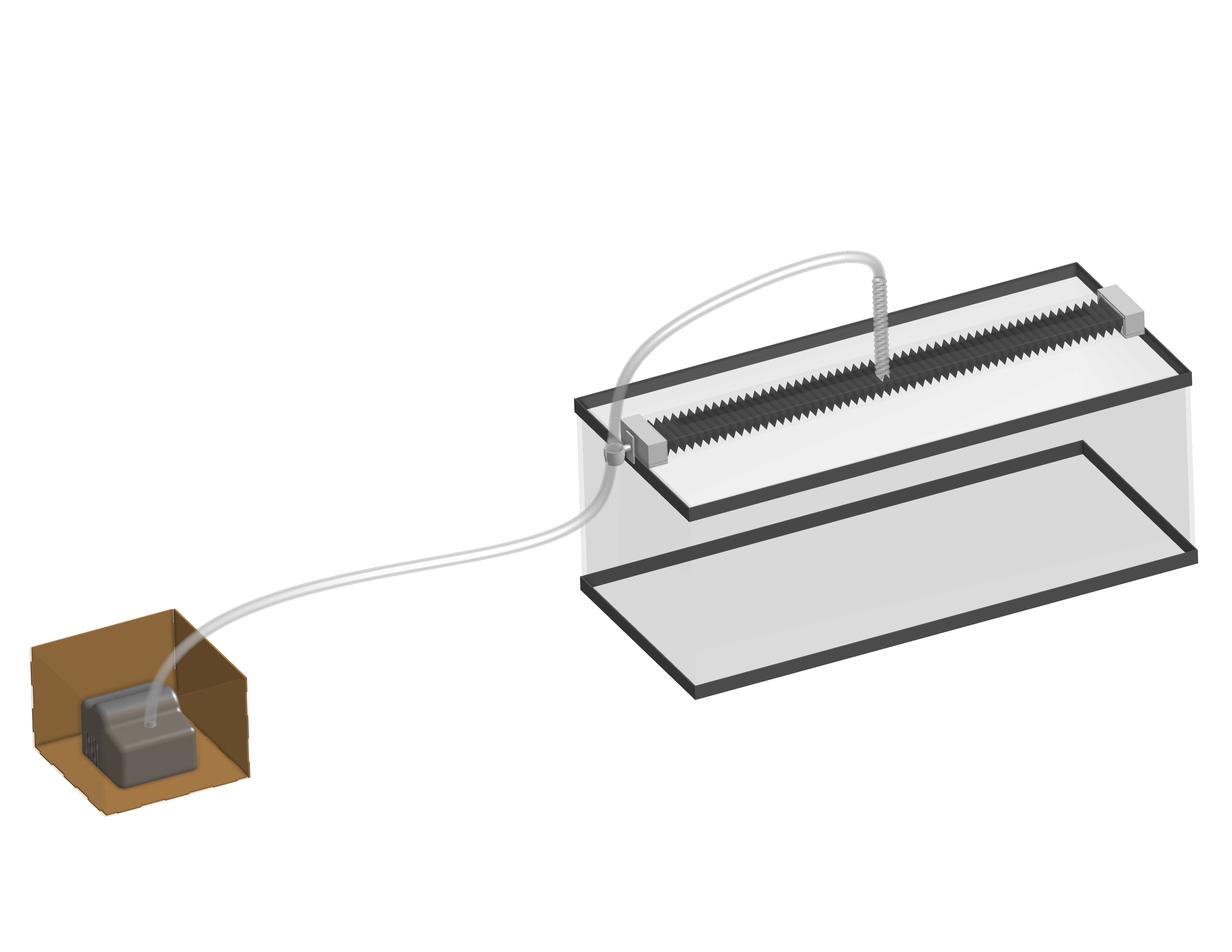 Second Image